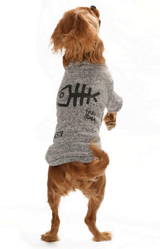 Küçük ve Orta Irk Köpek Kazak - Lalit Gri