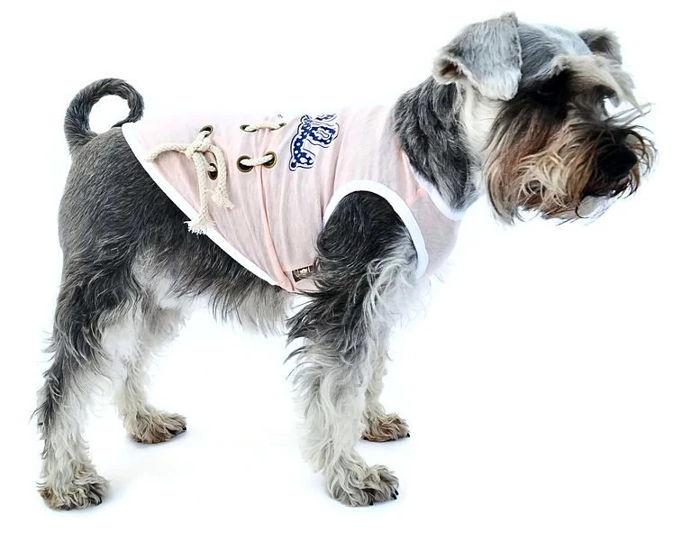 Köpek Küçük ve Orta Irk T-shirt Apple Pembe