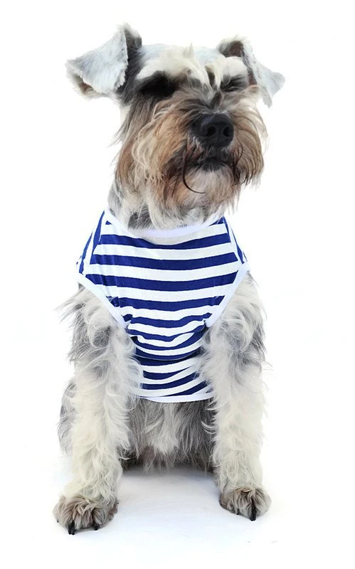 Köpek Küçük ve Orta Irk T-shirt Mosi