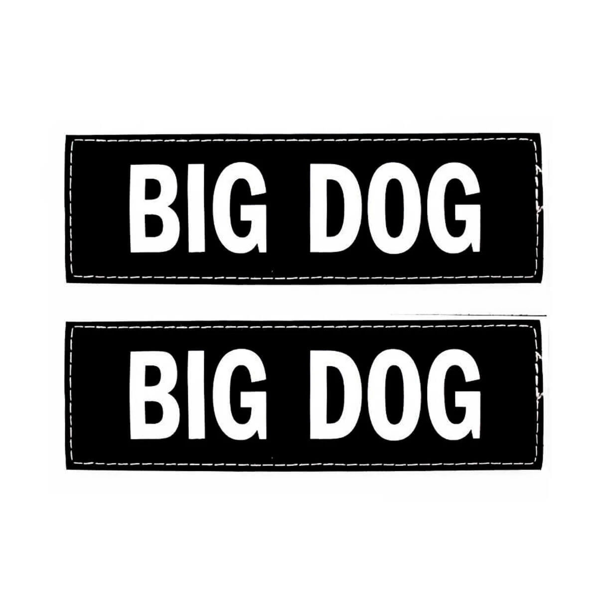 EzyDog Patch Göğüs Tasması Yan Etiketleri BIG DOG