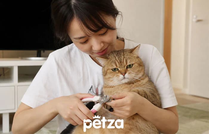 Kedi Tırnağı Nasıl Kesilir?