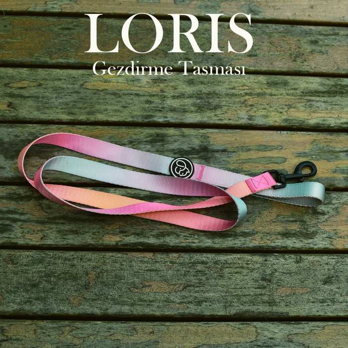 Köpek Gezdirme Tasması Loris