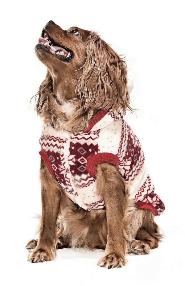 Köpek Ceket - Ponpon Polar Bordo