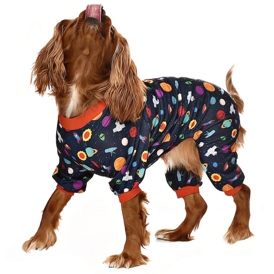 Küçük ve Orta Irk Köpek Pijama Tulum - Vanya - Köpek Kıyafeti
