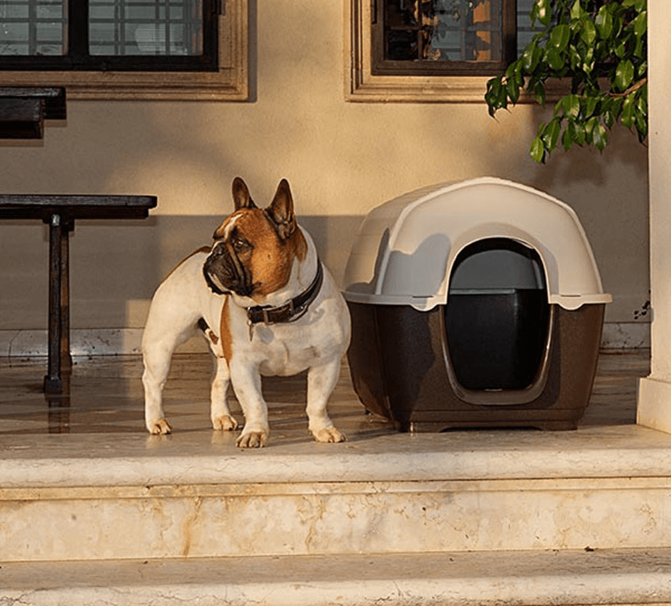 Ferplast Kenny 01 Köpek Kulübeleri