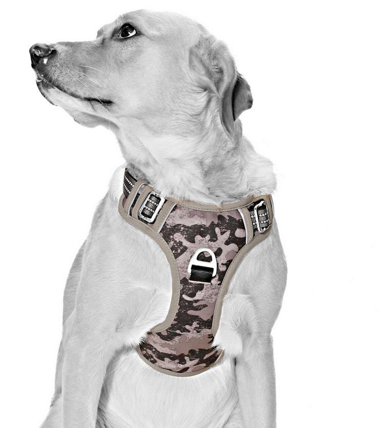 Köpek Göğüs Tasması Finwe Gri