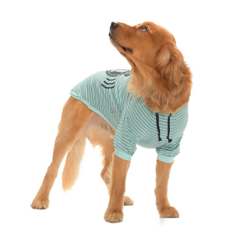 Orta ve Büyük Irk Köpek T-shirt - Wake Up Yeşil