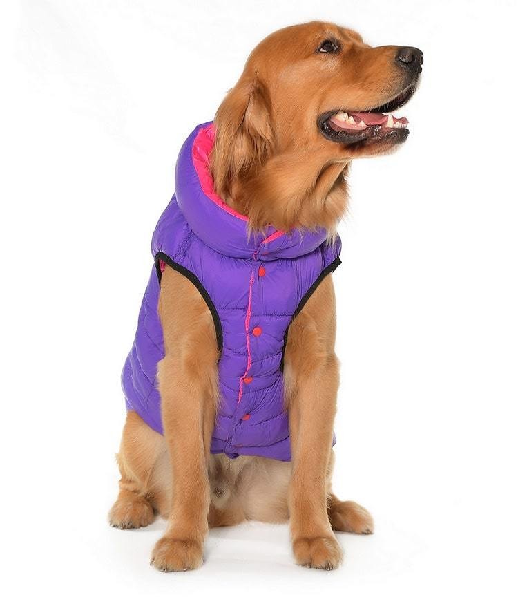 Büyük Irk Çift Taraflı Köpek Mont - Yuo Mor & Pembe