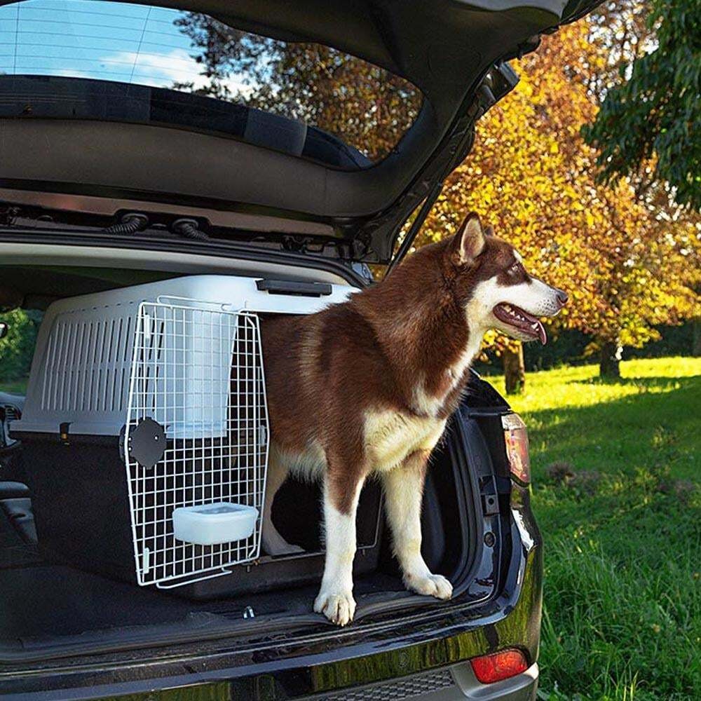 Ferplast Atlas 60 Köpek Taşıma Sepeti 91 x 61 x 66,5 Cm