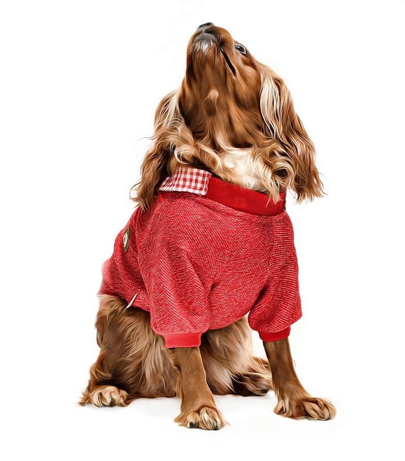 Küçük ve Orta Irk Köpek Sweater - Hodag