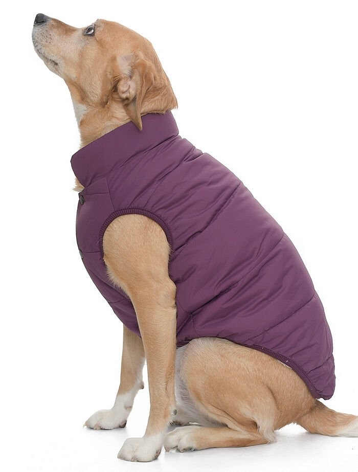 Orta Irk Köpek Mont - Magor