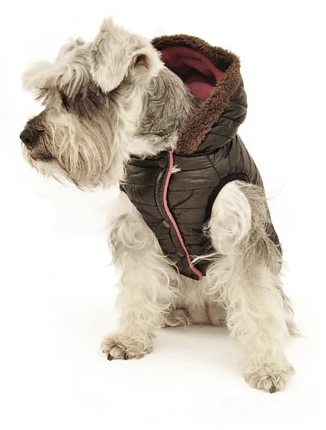 Köpek Mont Siyah  - Leo