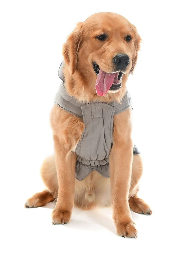 Orta ve Büyük Irk Köpek Mont - Nifler Gri