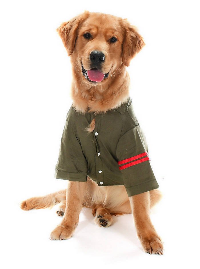 Orta ve Büyük Irk Köpek Gömlek - Rajo