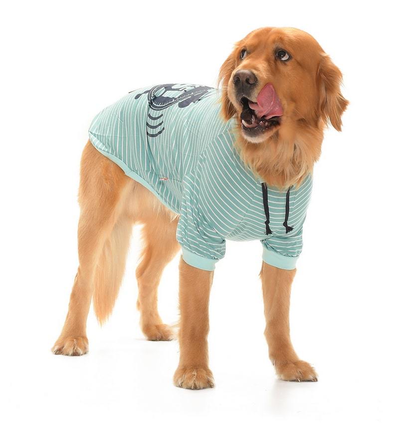 Orta ve Büyük Irk Köpek T-shirt - Wake Up Yeşil