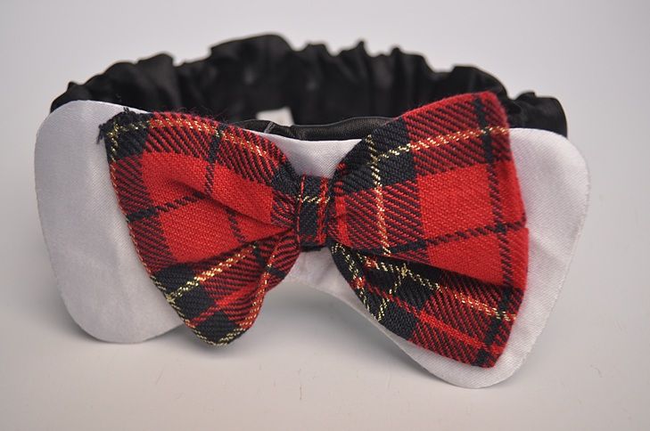 Köpek Papyon / Lastikli