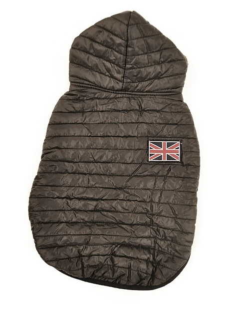 Köpek Mont Siyah  - Leo