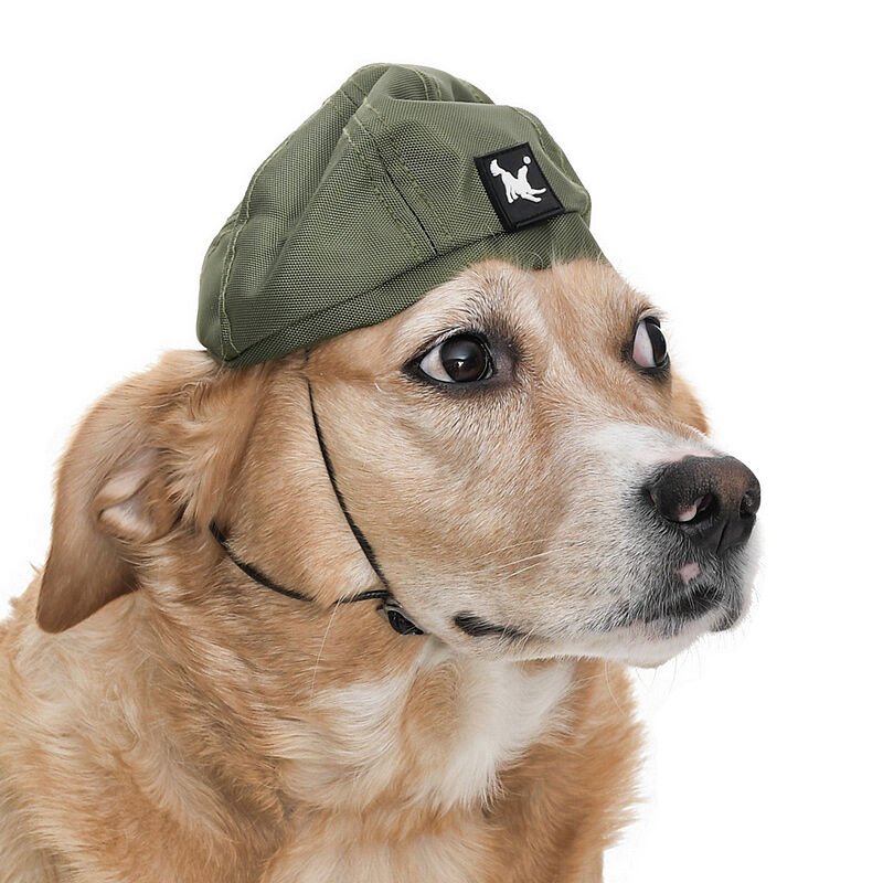 Küçük ve Orta Irk Köpekler için Şapka - CHE