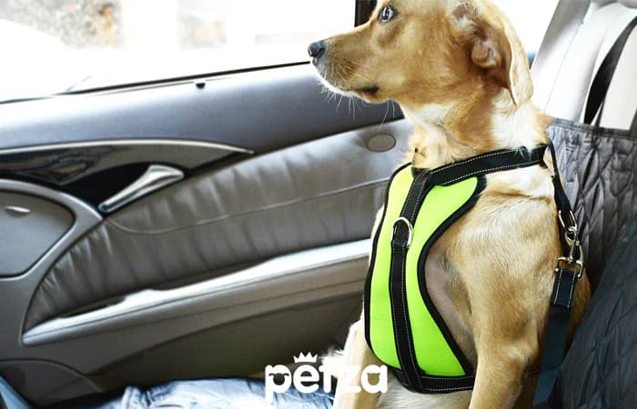 Arnav Köpek Araç Emniyet Kemeri ve Tasması Sarı - Petza