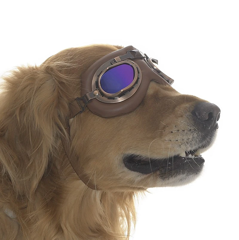 Orta ve Büyük Köpek Güneş Gözlüğü Kimmo 