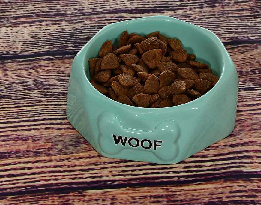 Köpek Seramik Mama Kabı Woof Yeşil
