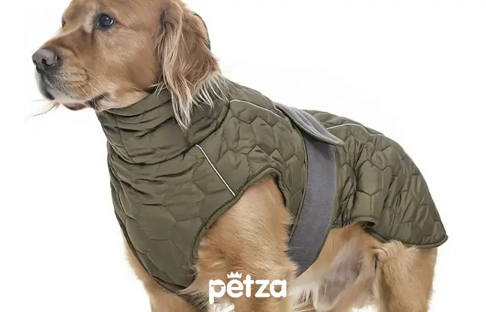 Yukata Büyük Irk Köpek Mont - Petza
