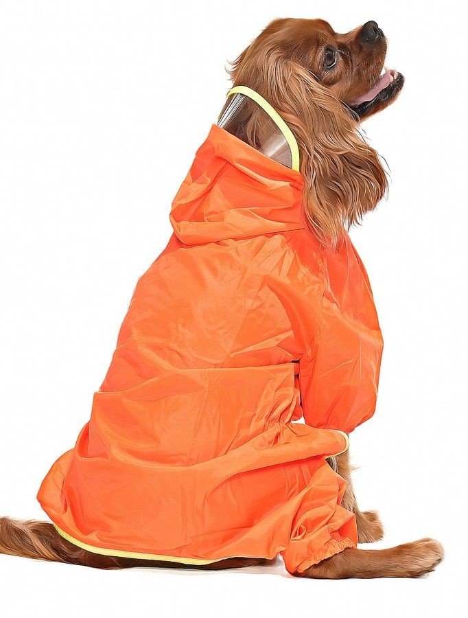 Küçük ve Orta Irk Köpek Paçalı Yağmurluk - Puka Turuncu