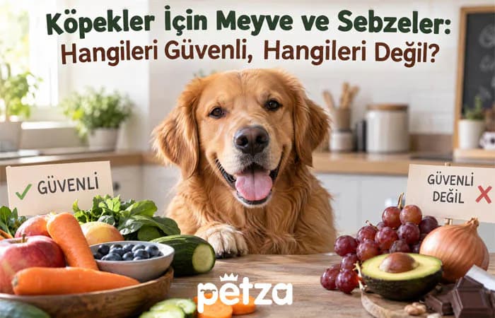 Köpekler İçin Güvenli Meyve ve Sebzeler