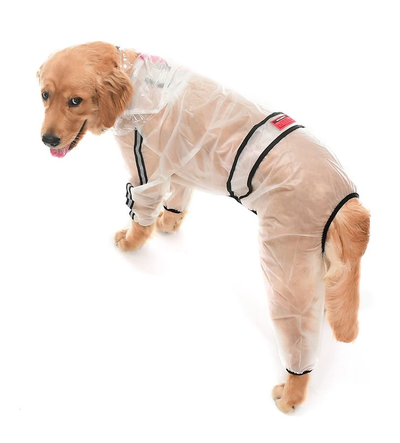 Büyük Irk Paçalı Şeffaf Köpek Yağmurluk - Rinda