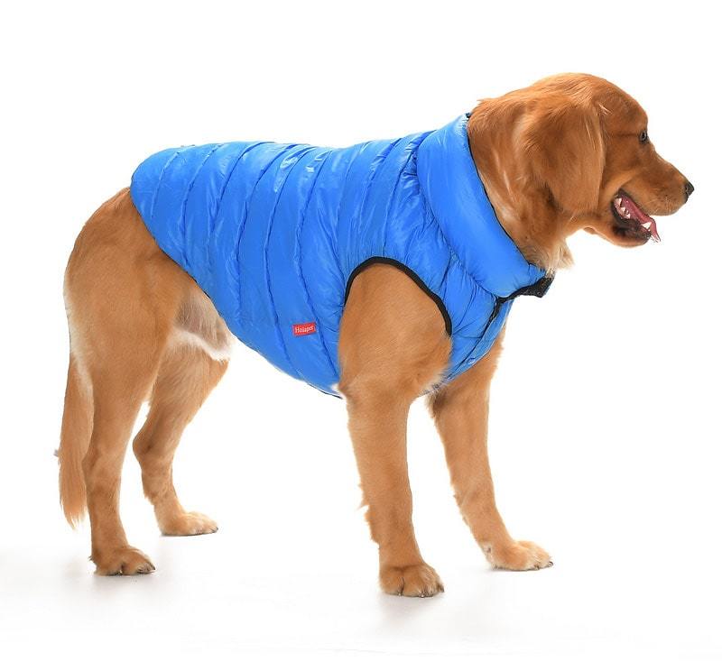 Büyük Irk Çift Taraflı Köpek Mont - Yuo Mavi & Siyah