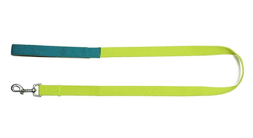 Köpek Gezdirme Tasması Ming