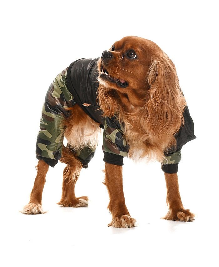 Küçük ve Orta Irk Köpek Paçalı Mont Gunvor