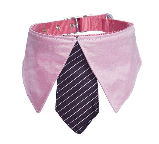 ABS 02 Pembe Kravatlı Tasma