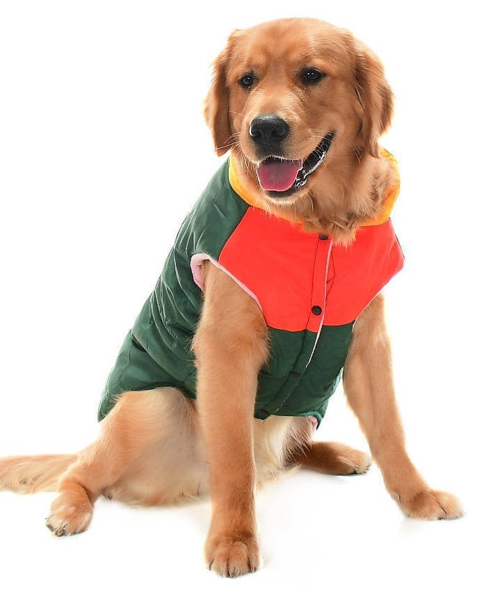 Orta ve Büyük Irk Köpek Mont - Murpota Yeşil