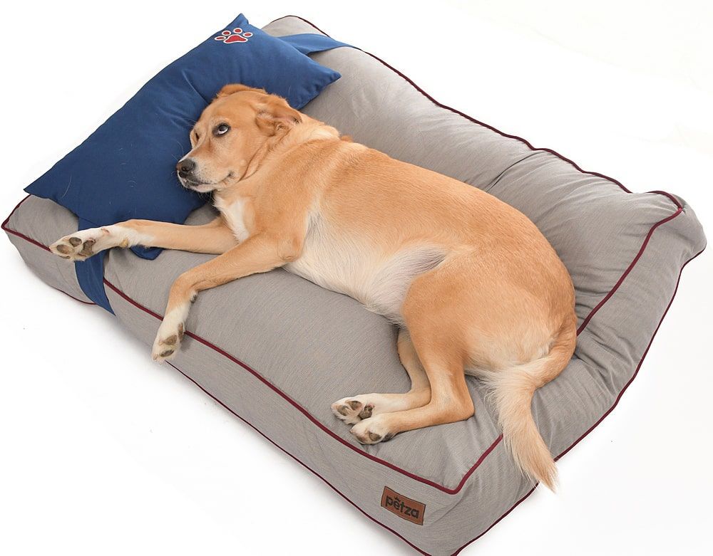 Köpek Yatağı ve Yastık Takımı - Kama Large