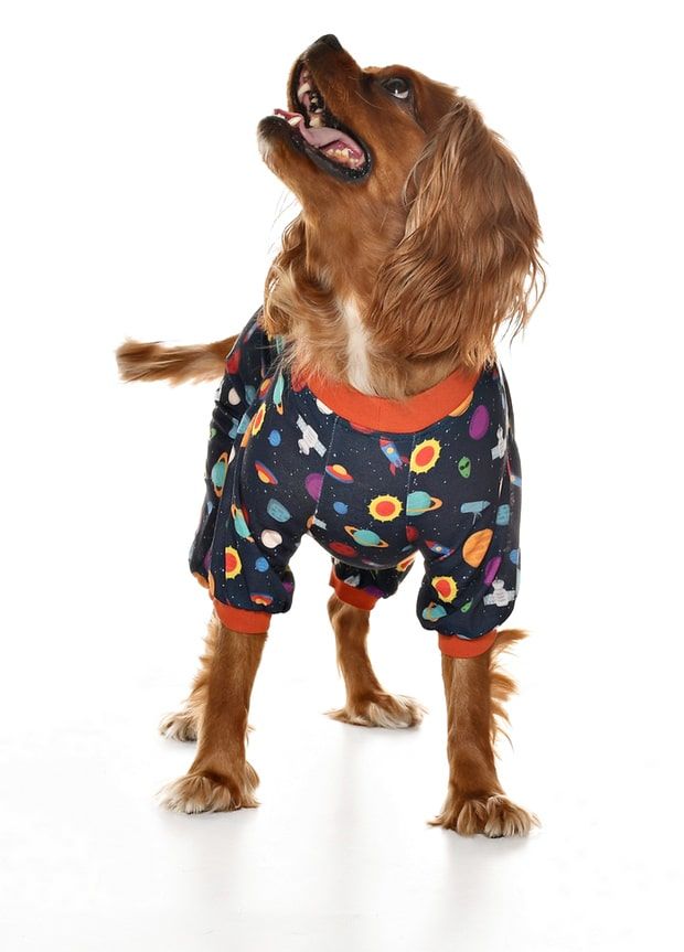 Küçük ve Orta Irk Köpek Pijama Tulum - Vanya - Köpek Kıyafeti