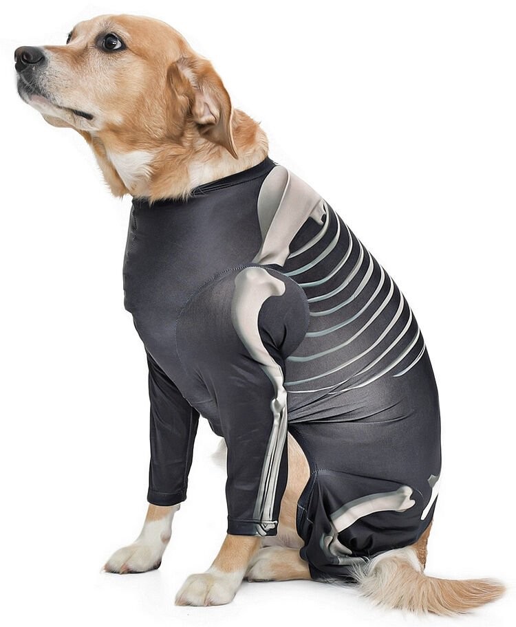 Orta ve Büyük Irk Köpek Tulum - Skeleton