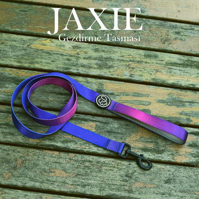 Köpek Gezdirme Tasması Jaxie