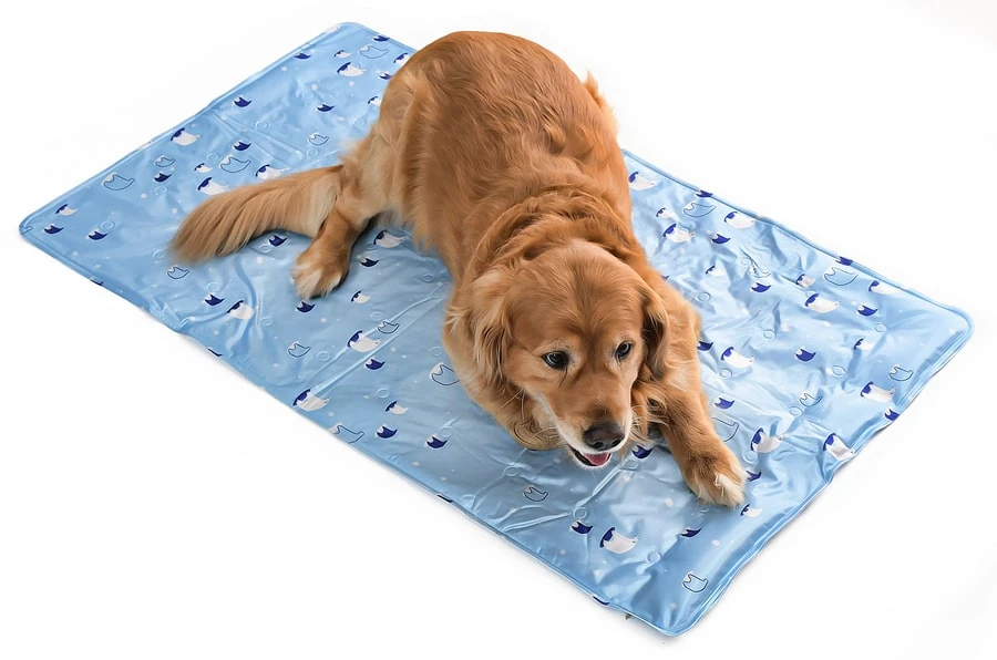 Köpek Serinletici - Soğutucu Yatak 2XLarge 70x120 cm