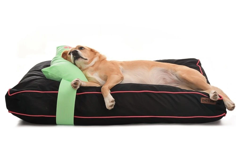 Köpek Yatağı ve Yastık Takımı - Nagini Medium