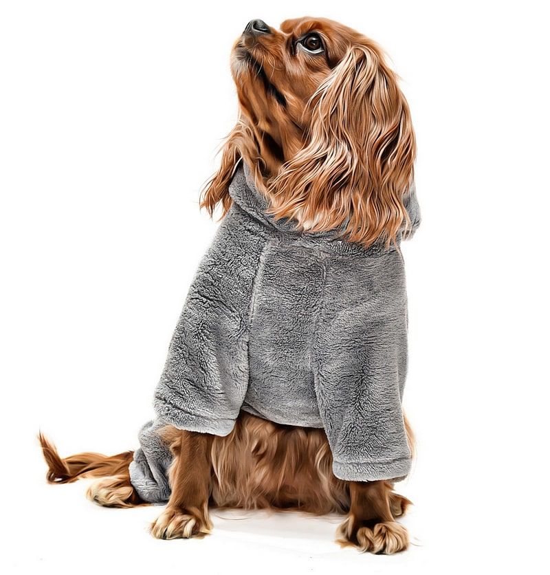 Küçük ve Orta Irk Köpek Pijama Polar Tulum - Yumbo Gri - Köpek Kıyafeti