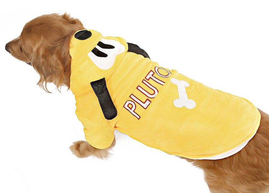 Orta ve Büyük Irk Köpek Polar Sweat - Keta