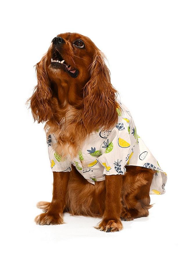 Küçük ve Orta Irk Köpek Gömlek Noora - Köpek Kıyafeti