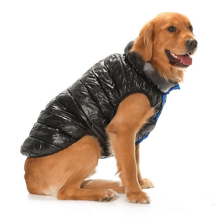 Büyük Irk Çift Taraflı Köpek Mont - Yuo Mavi & Siyah