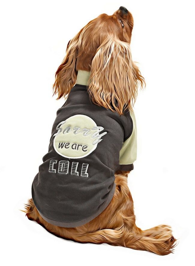 Küçük ve Orta Irk Köpek Sweatshirt - Ramora - Köpek Kıyafeti