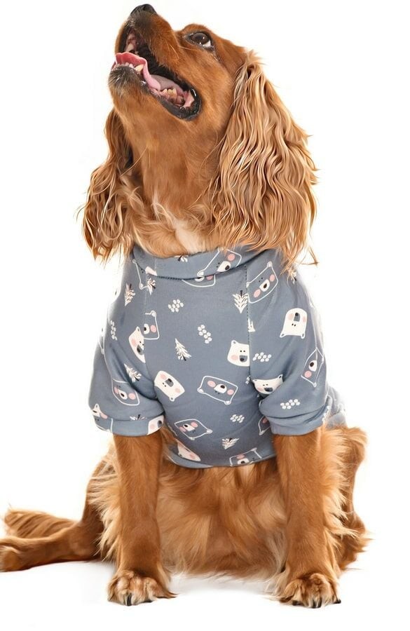 Küçük ve Orta Irk Köpek Sweater - Grube