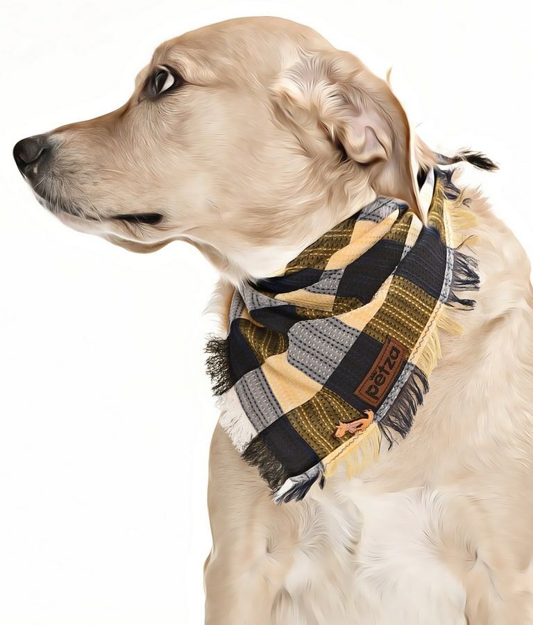 Köpek Bandana / Ribe