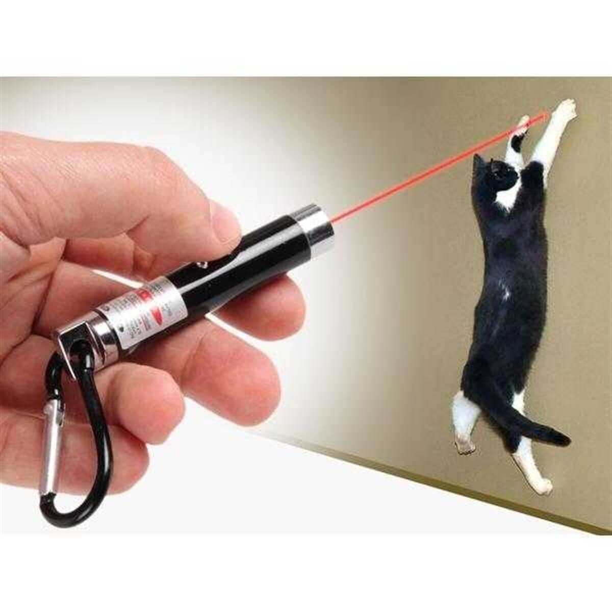 3 in 1 Kedi Lazer Oyuncağı