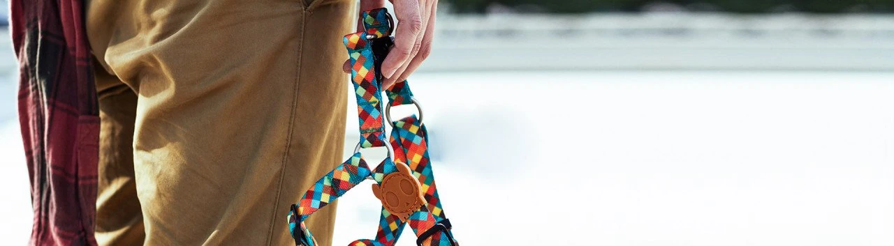 Zee.Dog Mr.Fox Köpek Göğüs Tasması