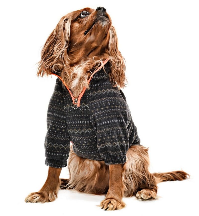 Küçük ve Orta Irk Köpek Polar Sweat - Leela